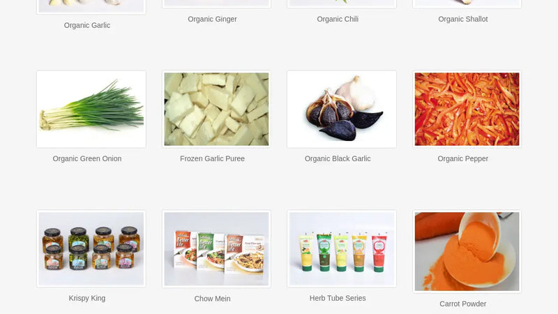 Screenshot: the Better Life Foods, Inc. website.