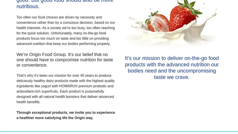 Screenshot: the Origin Food Group, LLC website.